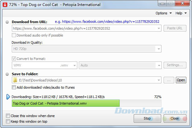 FLV Downloader
