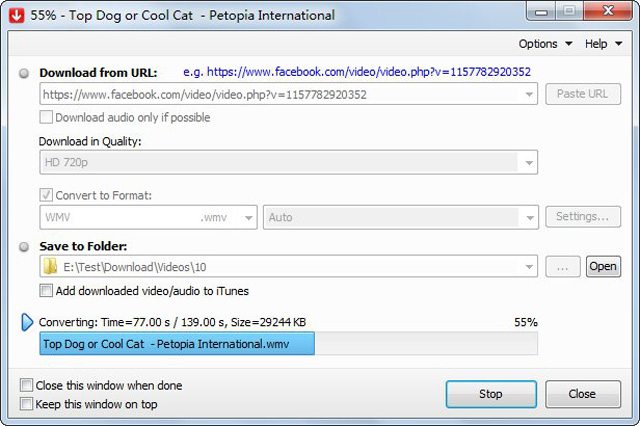FLV Downloader