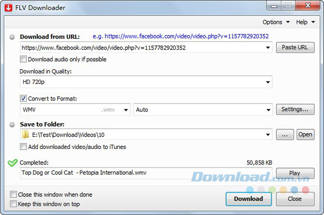 FLV Downloader