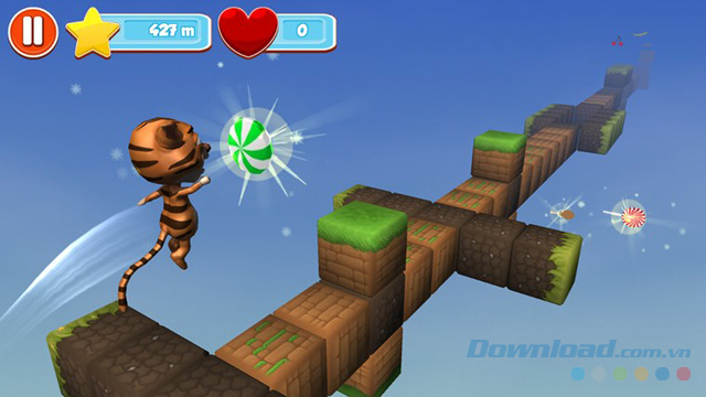 Pet run