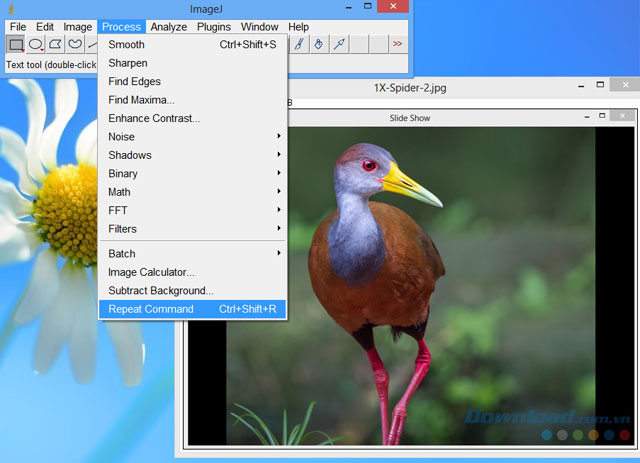 ImageJ