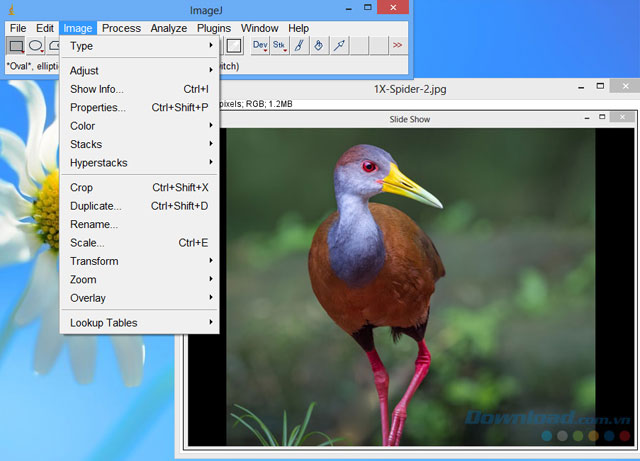 ImageJ