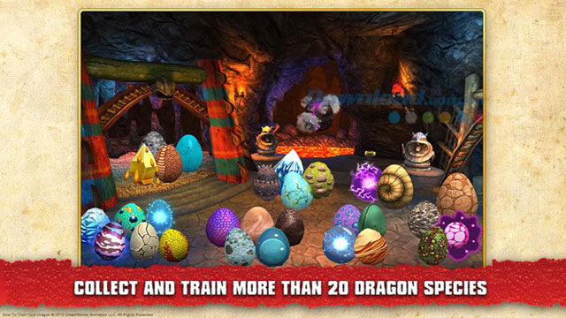 School of Dragons