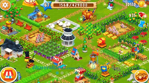 Barn Story