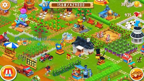 Barn Story