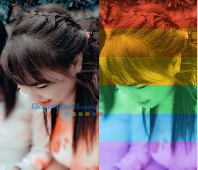 Celebrate Pride