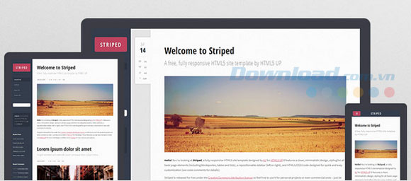 Giao diện của Striped HTML5 UP