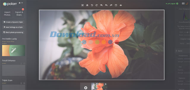 Polarr Online Photo Editor 
