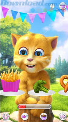 Talking Ginger 2