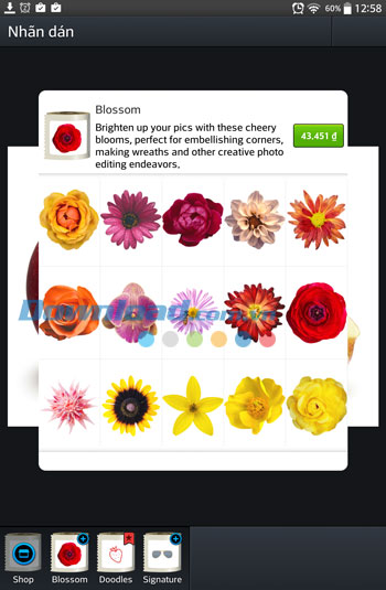 Pencil Sketch cho Android