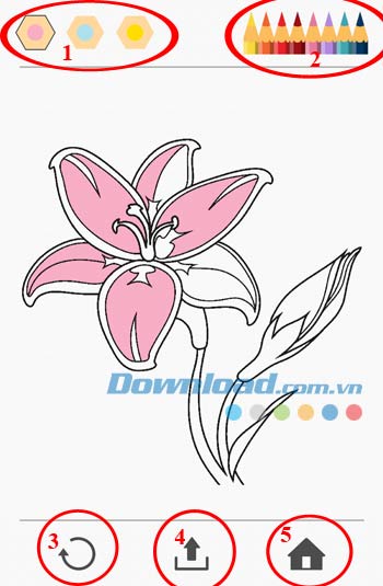 Colorfy cho Android