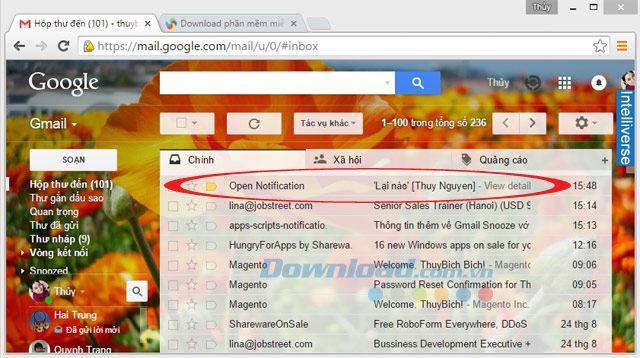 Email thông báo