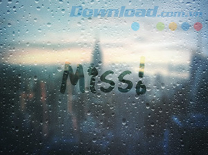 Hiệu ứng ngắm mưa