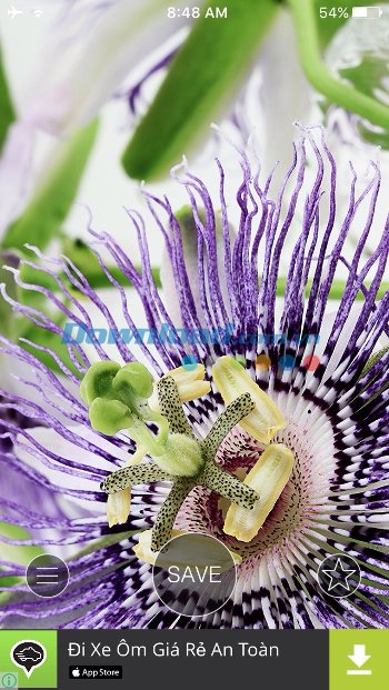 Ảnh nền Full HD ấn tượng
