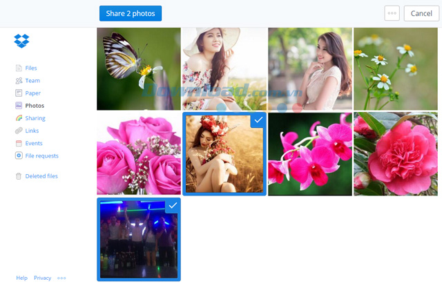 Photos