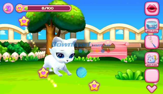 Kitty Love - game nuôi mèo ảo thú vị 