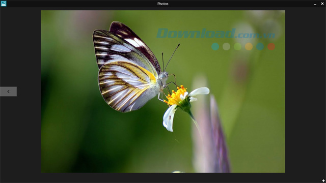 https://st.download.com.vn/data/image/2015/10/19/Activate-Windows-Photo-Viewer-for-windows-10-photos.jpg https://st.download.com.vn/data/image/2015/10/19/Activate-Windows-Photo-Viewer-for-windows-10-photos.jpg