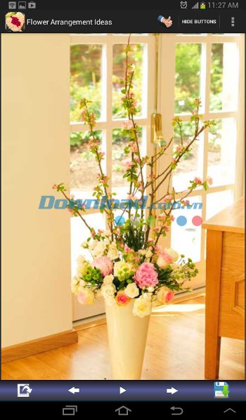 Flower Arrangement Ideas gồm nhiều kiểu kiểu cắm hoa ấn tượng 