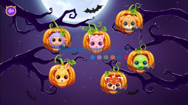 Chọn thú cưng yêu thích