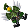 🖼️