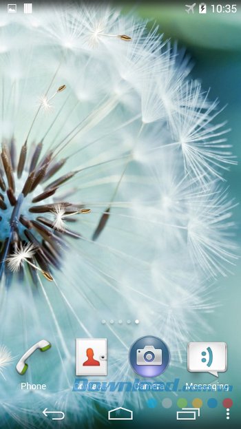 Màn hình chủ sau khi áp dụng Dandelion Live Wallpaper