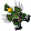 🖼️
