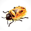 Firebug Lite for Google Chrome