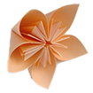 Origami Magic