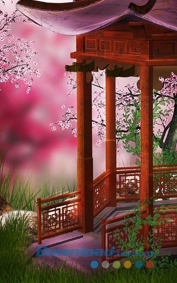 Sakura Live Wallpaper đa dạng các hình ảnh 