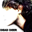 Dead Deer