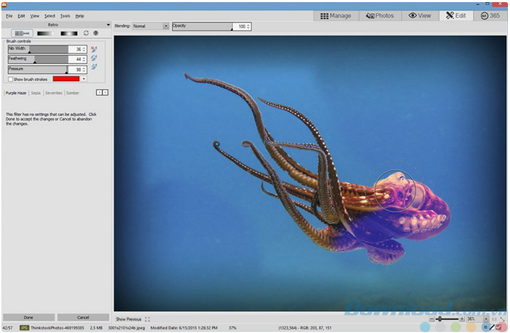 Pressure-Active Brush