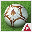 Football World League 3D