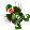 🖼️