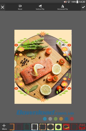 Designs Pro Photo Editor gồm nhiều khung ảnh bắt mắt