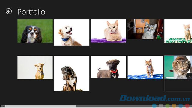 Xem hình ảnh trên SmugMug