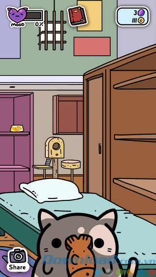 Chăm sóc mèo con Chăm sóc mèo con