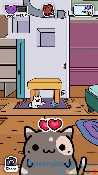 Tương tác với mèo con Tương tác với mèo con