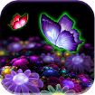 3D Butterfly Live Wallpaper cho Android