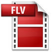 Pazera Free FLV to AVI Converter