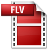 Pazera Free FLV to AVI Converter