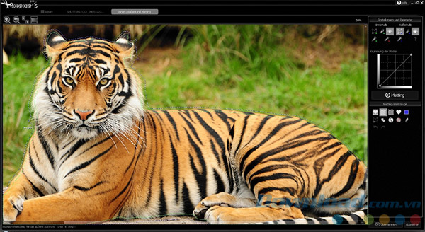 Loại bỏ bớt lông hổ trên ảnh với Ashampoo CutOut Loại bỏ bớt lông hổ trên ảnh với Ashampoo CutOut