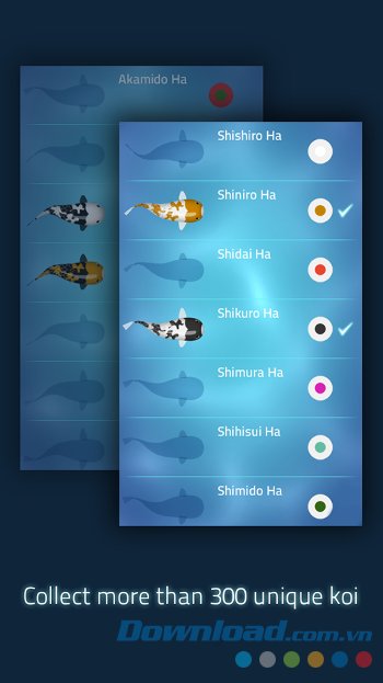 Zen Koi với giao diện bộ sưu tập cá Koi 