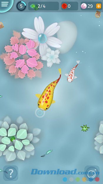Zen Koi với giao diện chơi game 