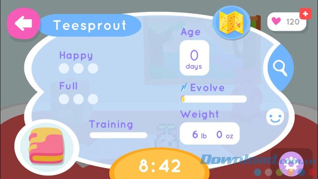 Đồng hành cùng pet