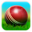 Cricket 3D World Street Challenge