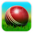 Cricket 3D World Street Challenge