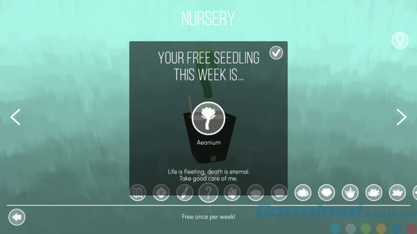 Nhận hạt giống miễn phí trong Viridi