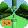 🖼️