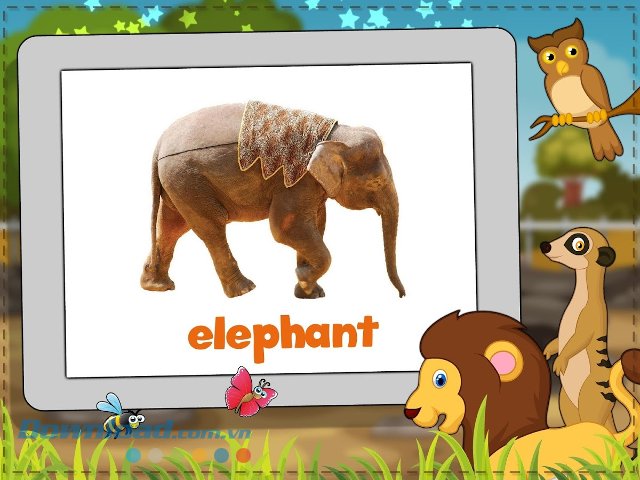 Dạy trẻ học từ vựng với Flash Cards for babies 