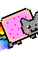 🖼️